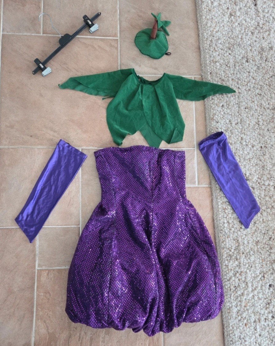 carnavalspak aubergine pruim, Maat 38/40 (M), Carnaval, Ophalen of Verzenden, Kleding