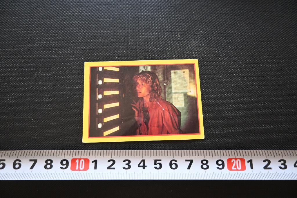 sticker merlin foto #195 jurassic park, Ophalen, Zo goed als nieuw