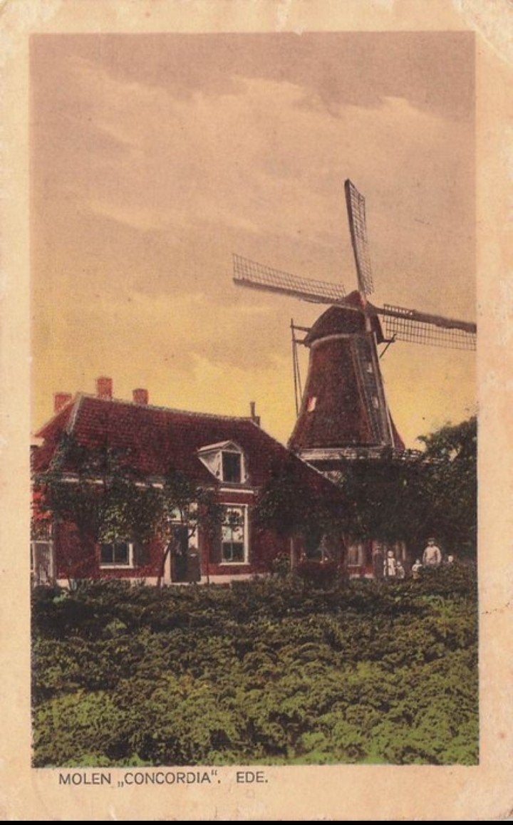 Molen ,,Concordia" in Ede, Verzenden, Voor 1920, Gelopen, Zuid-Holland