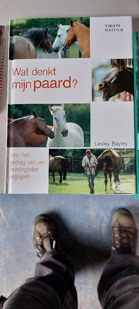 Paardenboeken, Boeken, Ophalen, Zo goed als nieuw, Paarden of Pony's, Diverse auteurs