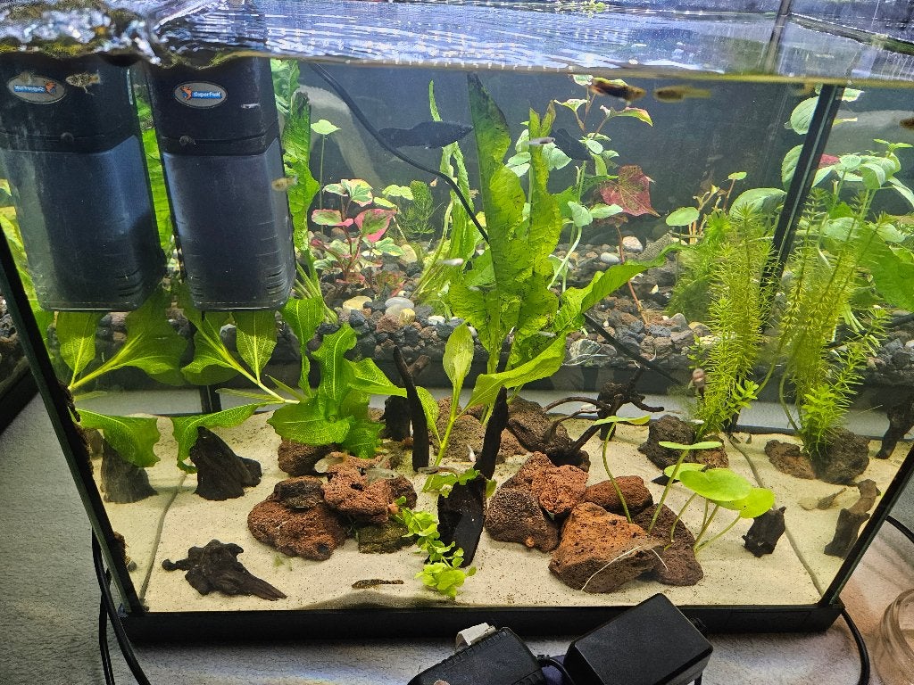 Aquarium superfish, Dieren en Toebehoren, Ophalen, Zo goed als nieuw, Leeg aquarium