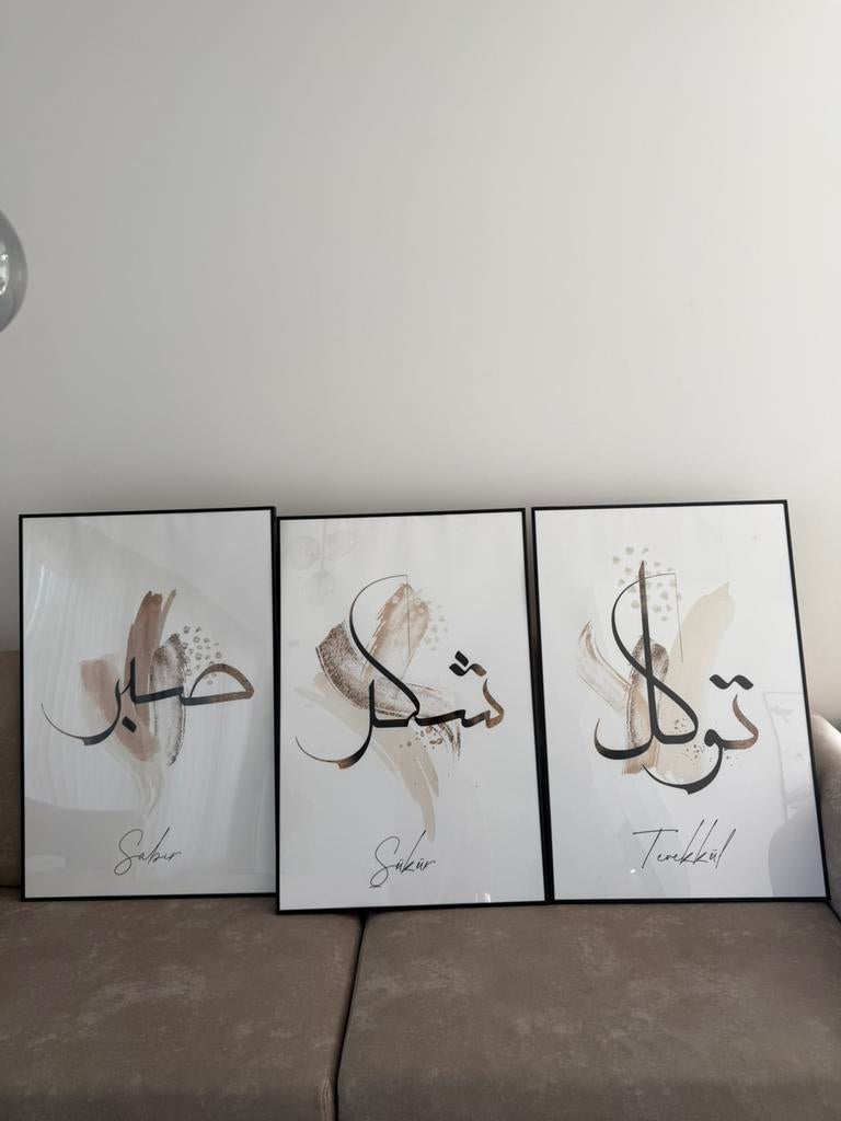 3 Mooie Schilderijen, Ophalen of Verzenden, Zo goed als nieuw, Minder dan 50 cm, Schilderij