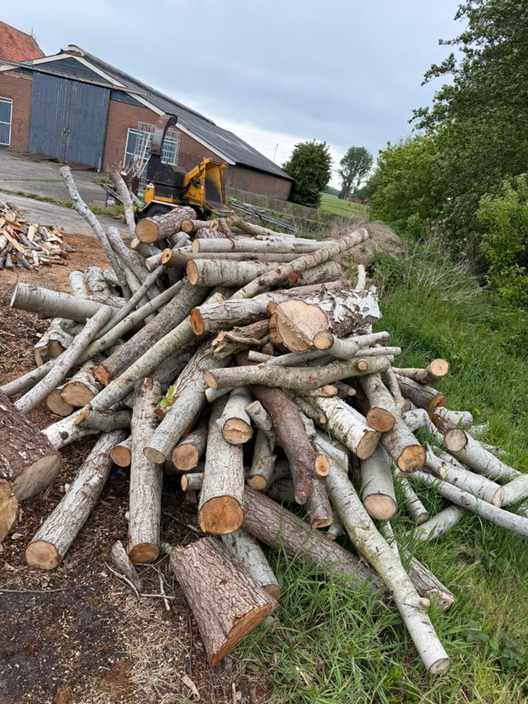 Haardhout op stam, Tuin en Terras, 6 m³ of meer, Ophalen of Verzenden, Stammen