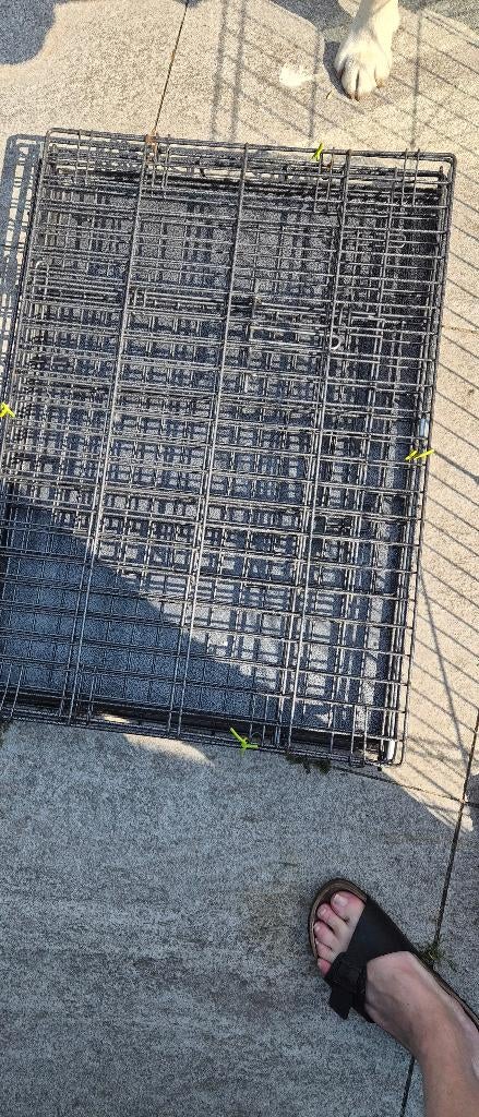 Honden bench en uitloopren (puppy), Ophalen, Gebruikt