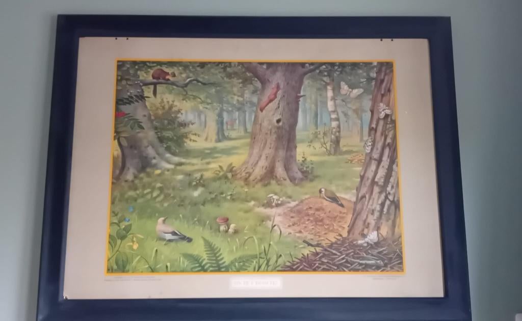 Schoolplaat "in het bosch", Ophalen, Natuur en Biologie
