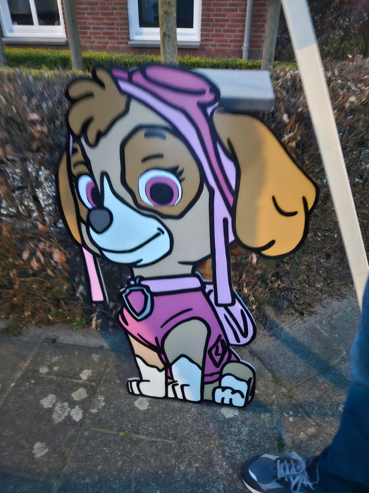 Geboortebord Skye Paw Patrol - Ophalen in Alphen, Ophalen of Verzenden, Zo goed als nieuw, Geboortebord