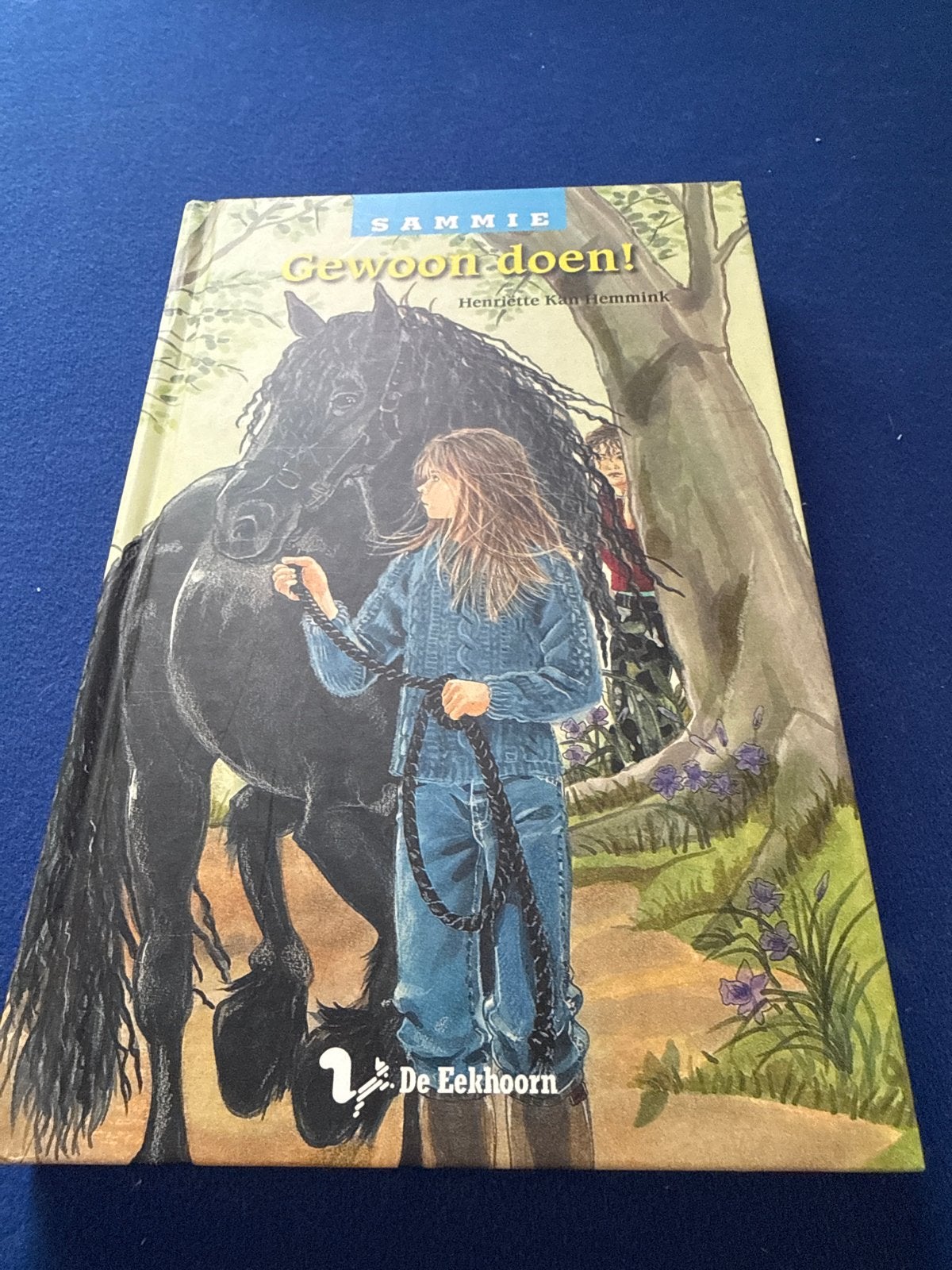 Sammie: Gewoon doen! - Henriëtte Kan Hemmink (paardenboek), Boeken, Ophalen of Verzenden, Gelezen, Fictie