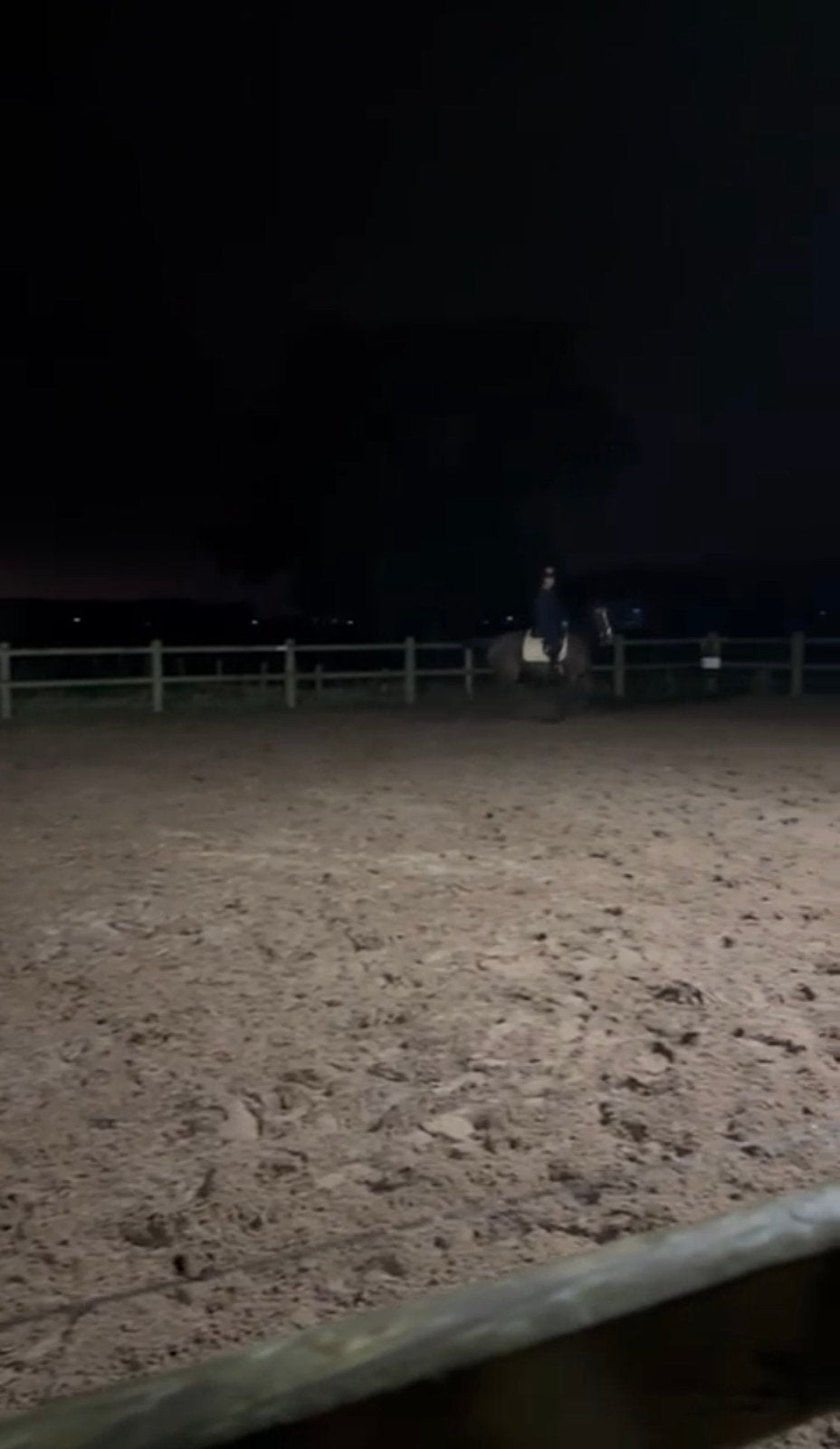 Bijrijdpaard / verzorgpony gezocht!, Ophalen, Zo goed als nieuw