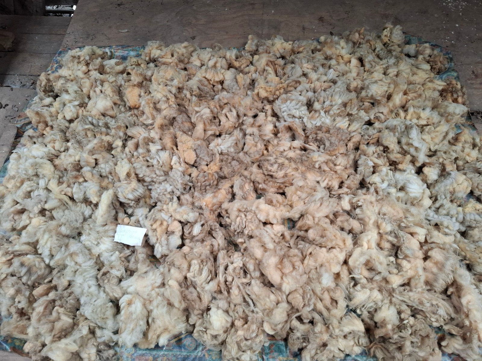 Ruwe vacht van Hampsire Down,  voor spinnen, Ophalen of Verzenden, Nieuw, Spinwol