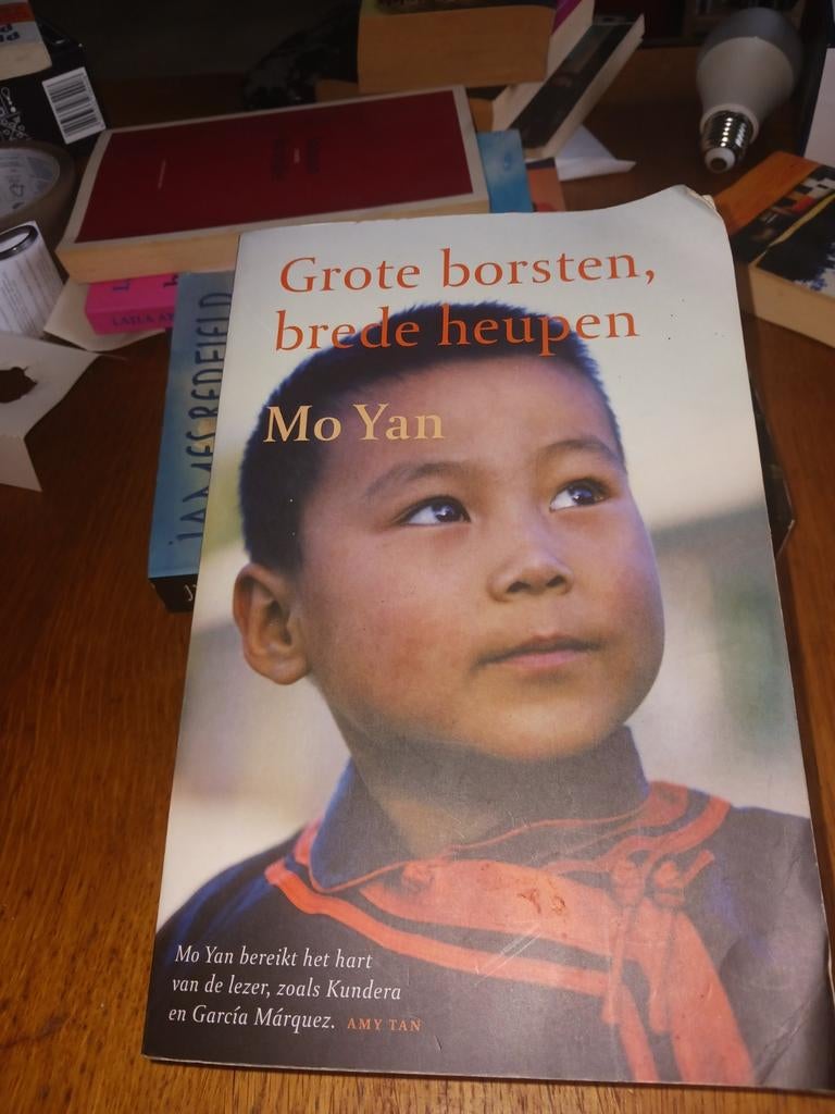 Grote Borsten, Brede Heupen, Ophalen of Verzenden, Gelezen