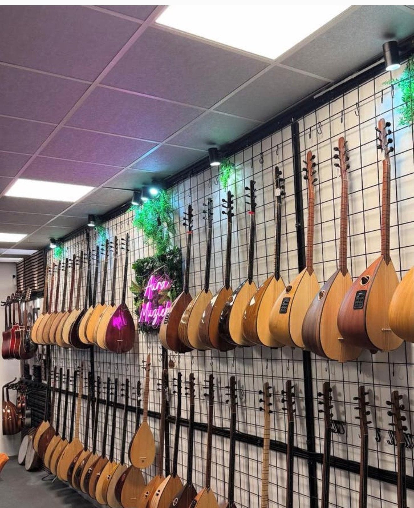 Saz / Bağlama – Beginner, Midden & Profi Modellen – Nie, Muziek en Instrumenten, Aura muziek, Nieuw, Ophalen of Verzenden, 7007 dc