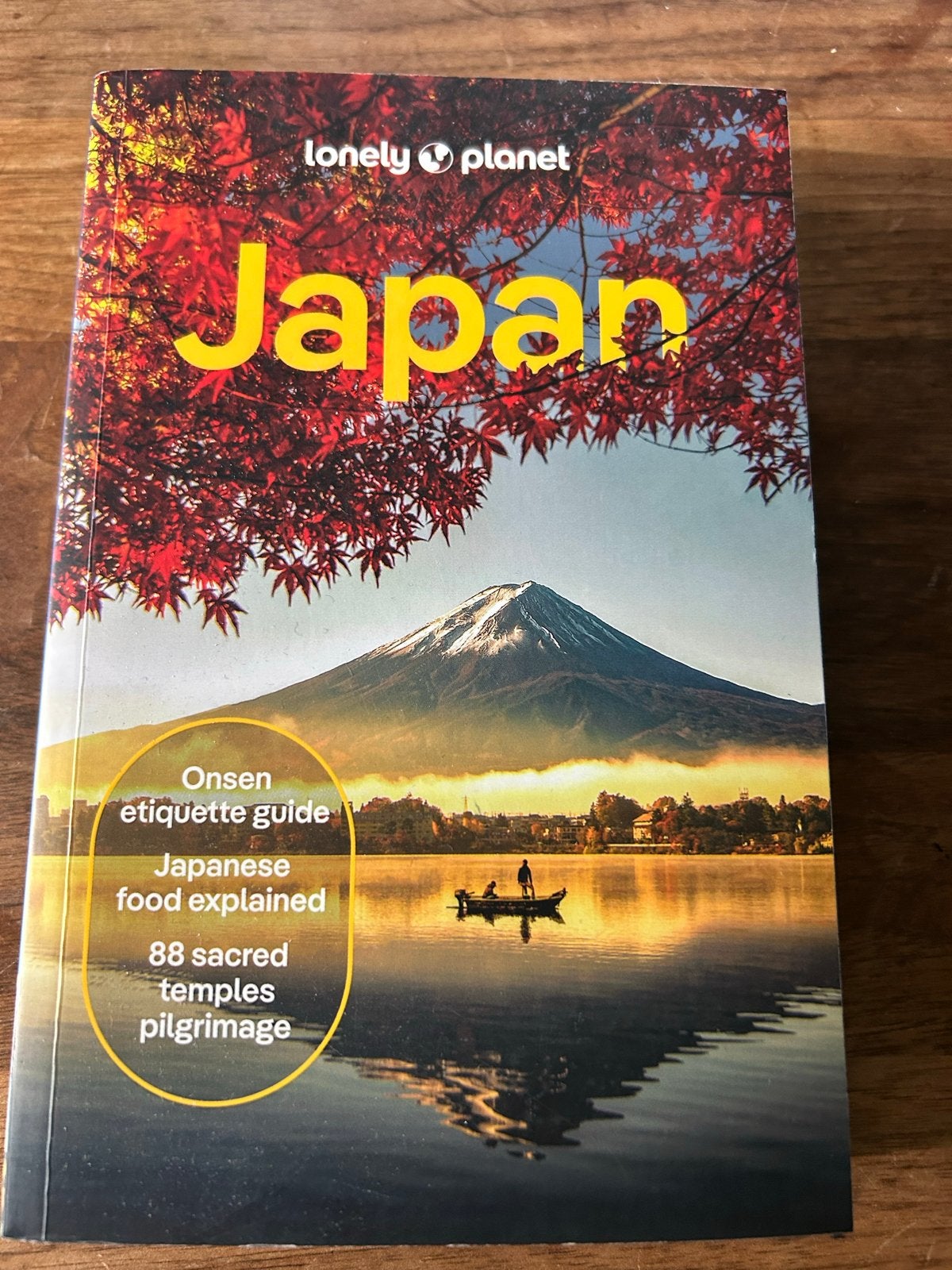 Lonely Planet Japan Reisgids - 18e editie, Lonely Planet, Ophalen of Verzenden, Zo goed als nieuw, Reisgids of -boek