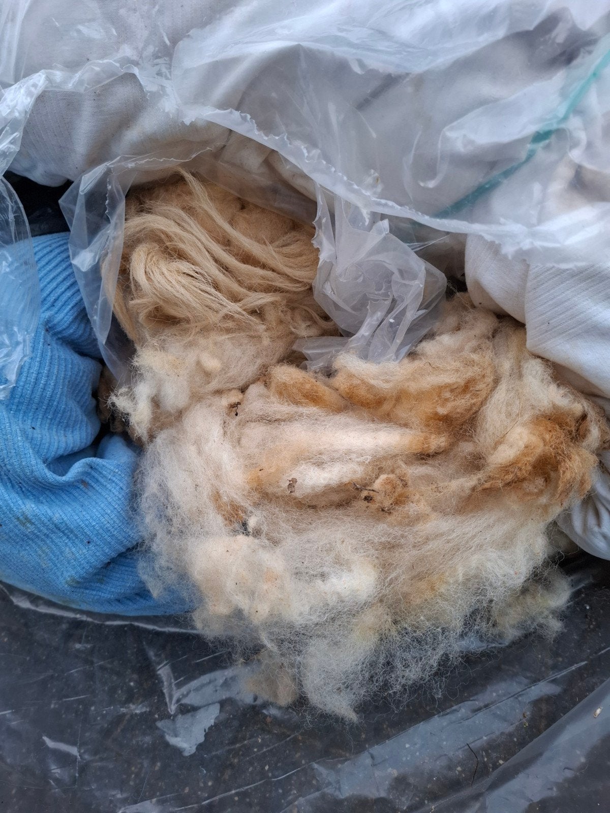 ruwe wol voor vilten en kaarden, Dieren en Toebehoren, Meerdere dieren, Schaap