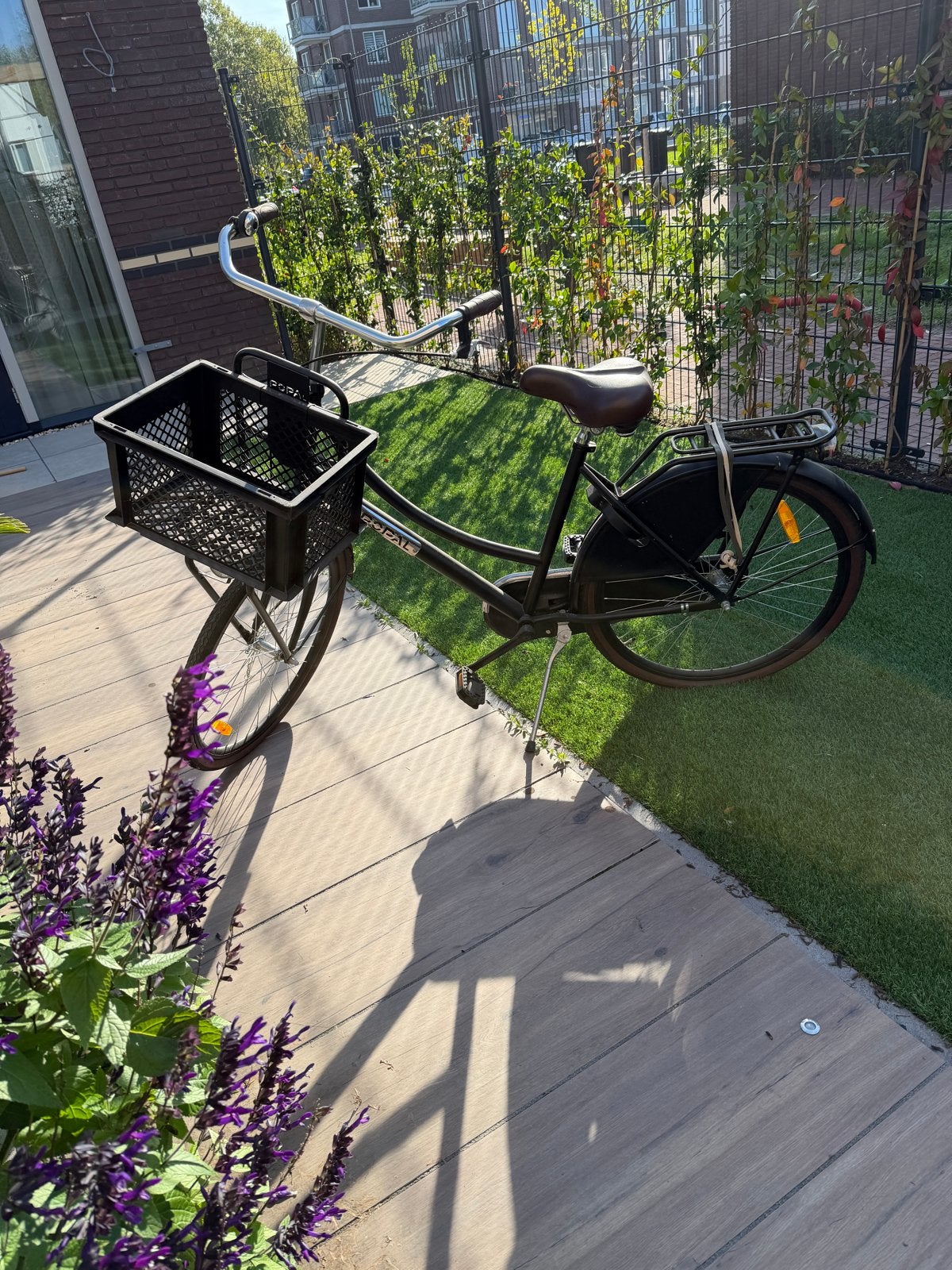 Popal Daily Dutch  meisjes fiets met Voordrager ZGAN, 53 tot 56 cm, Velgrem, Versnellingen, Zo goed als nieuw