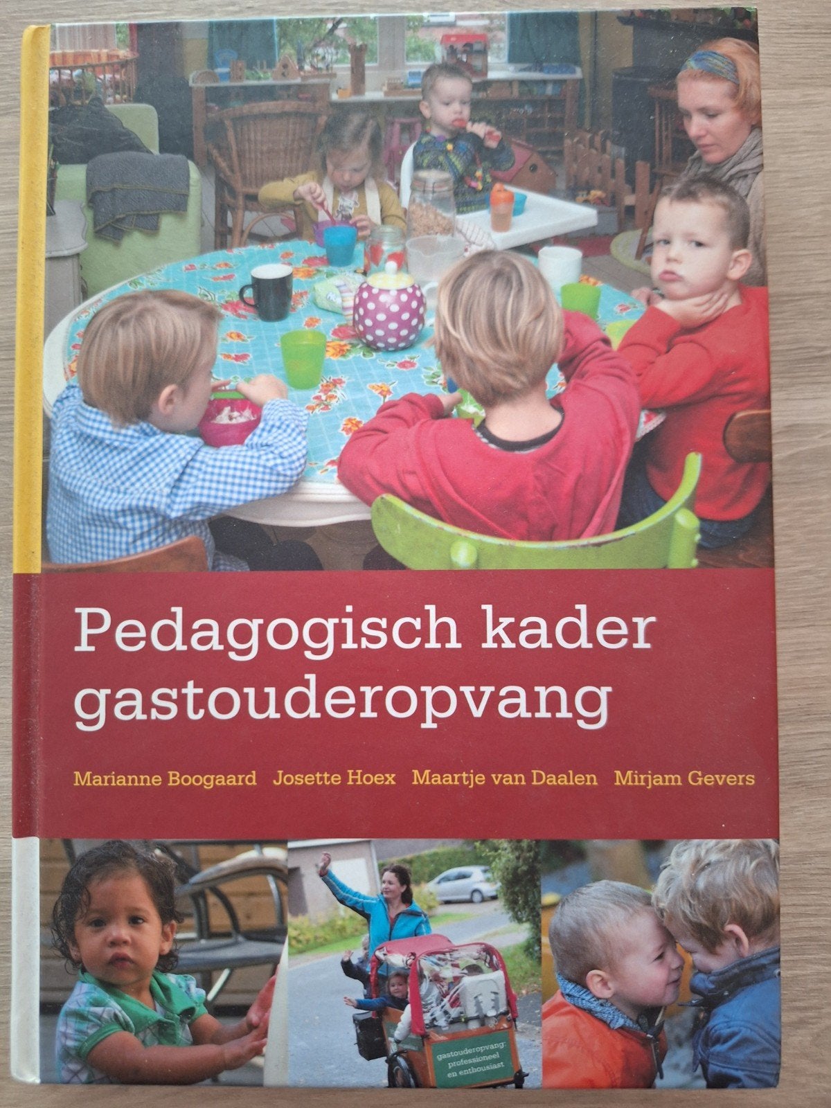Pedagogisch kader gastouderopvang, Boeken, Studieboeken en Cursussen, Ophalen of Verzenden, Zo goed als nieuw, MBO, Marianne Boogaard, Maartje van Daalen, Mirjam Gevers