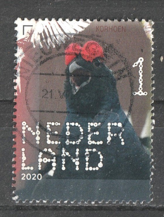 294 N beleef de natuur 2020  Korhoen, Ophalen of Verzenden, Na 1940, Gestempeld