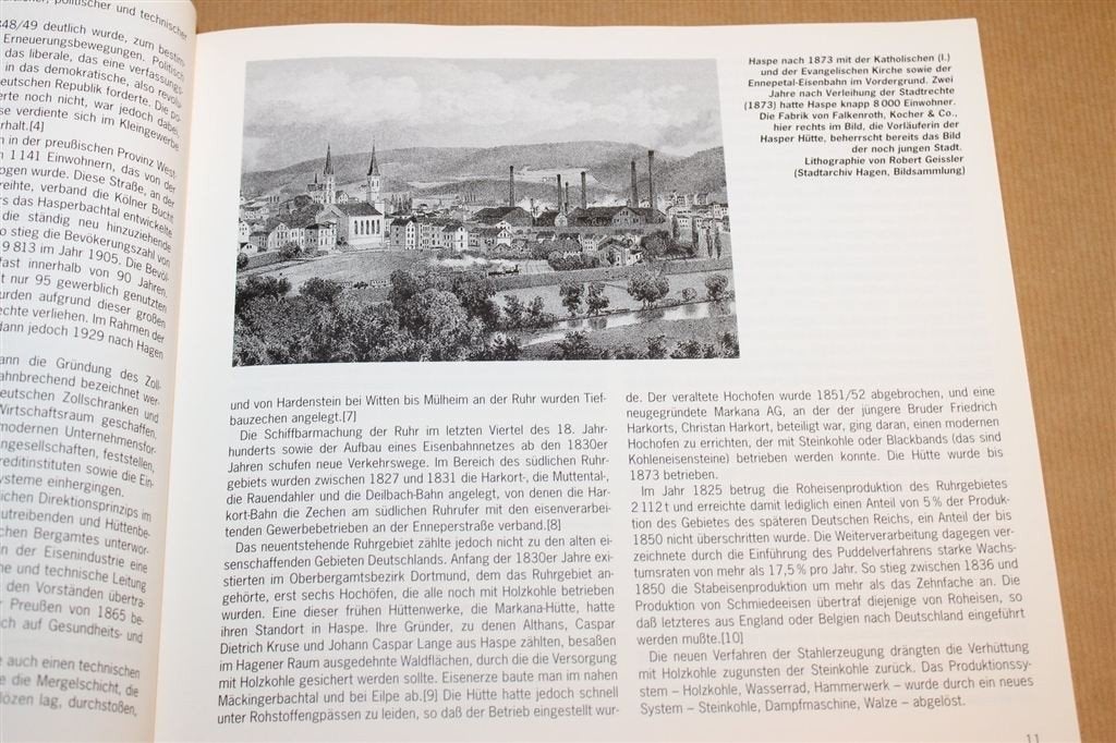 Hasper Gold — Geschiedenis van de Hasper Hütte 1998, Ophalen of Verzenden, Gelezen, Europa