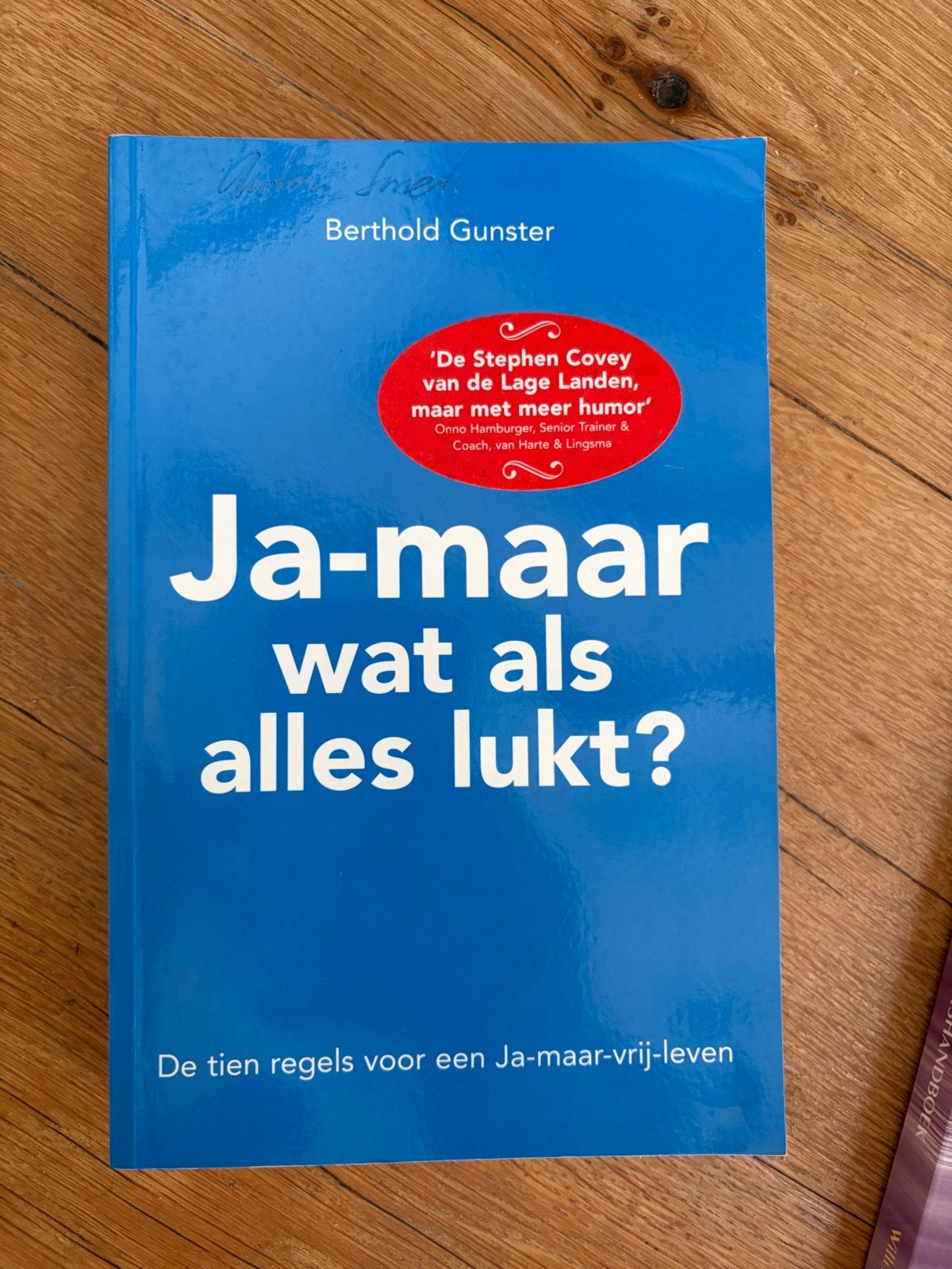Ja-maar wat als alles lukt? - Berthold Gunster, Ophalen of Verzenden, Zo goed als nieuw, Nederlands