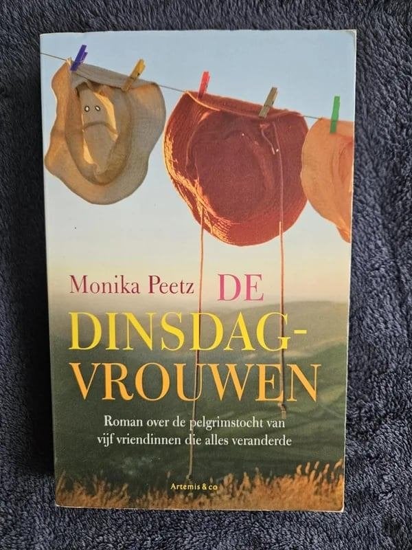 Monika Peetz - De dinsdagvrouwen, Boeken, Ophalen of Verzenden, Gelezen, Monika Peetz