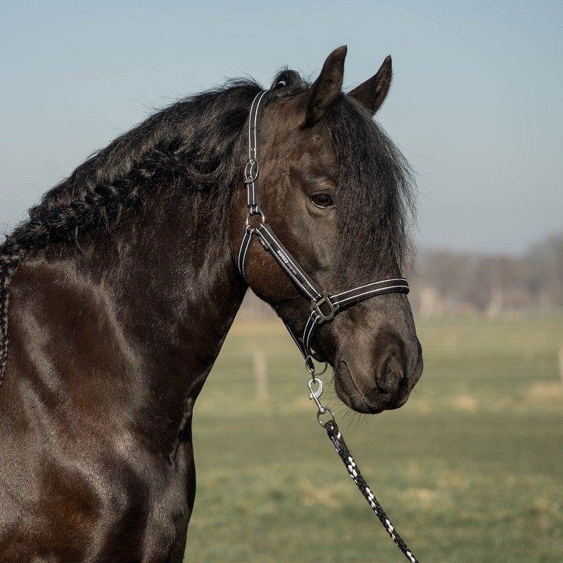 Zwarte Horka Originals halsterset shet pony cob en full, Dieren en Toebehoren, Nieuw, Ophalen of Verzenden, Info@horka.com, Horka International B.V.