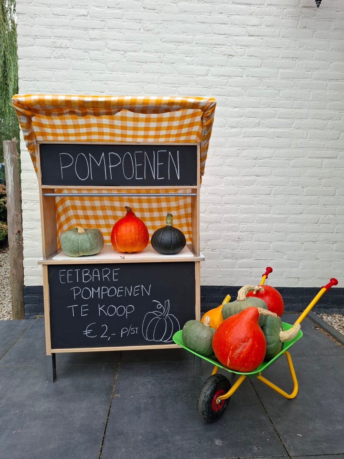 Eetbare pompoenen te koop, Ophalen of Verzenden