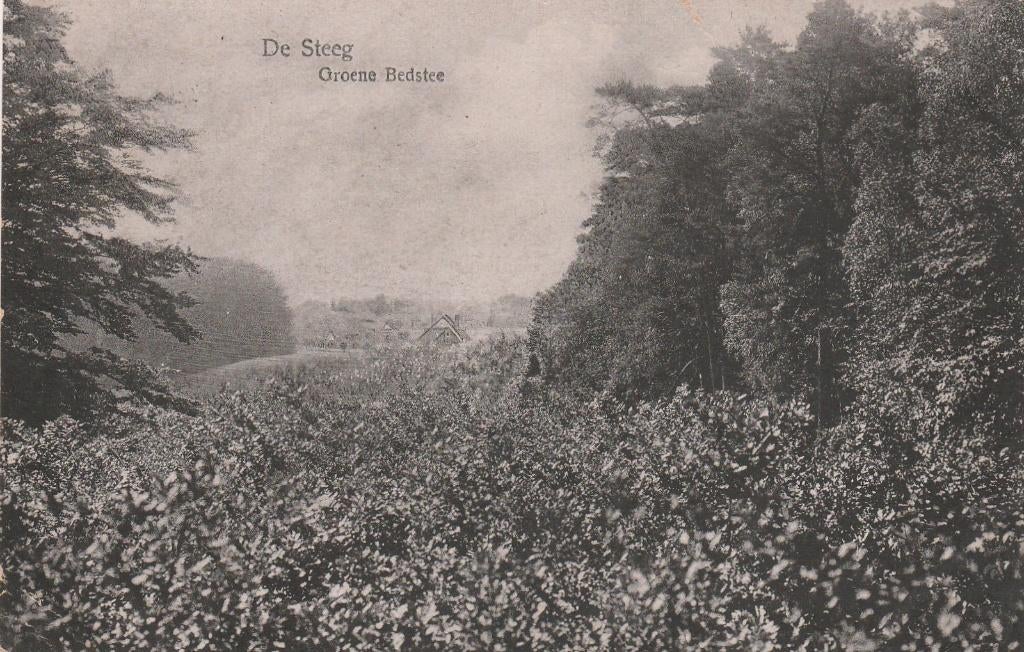 de steeg- groene bedstee 1923, Ophalen of Verzenden, 1920 tot 1940, Gelderland
