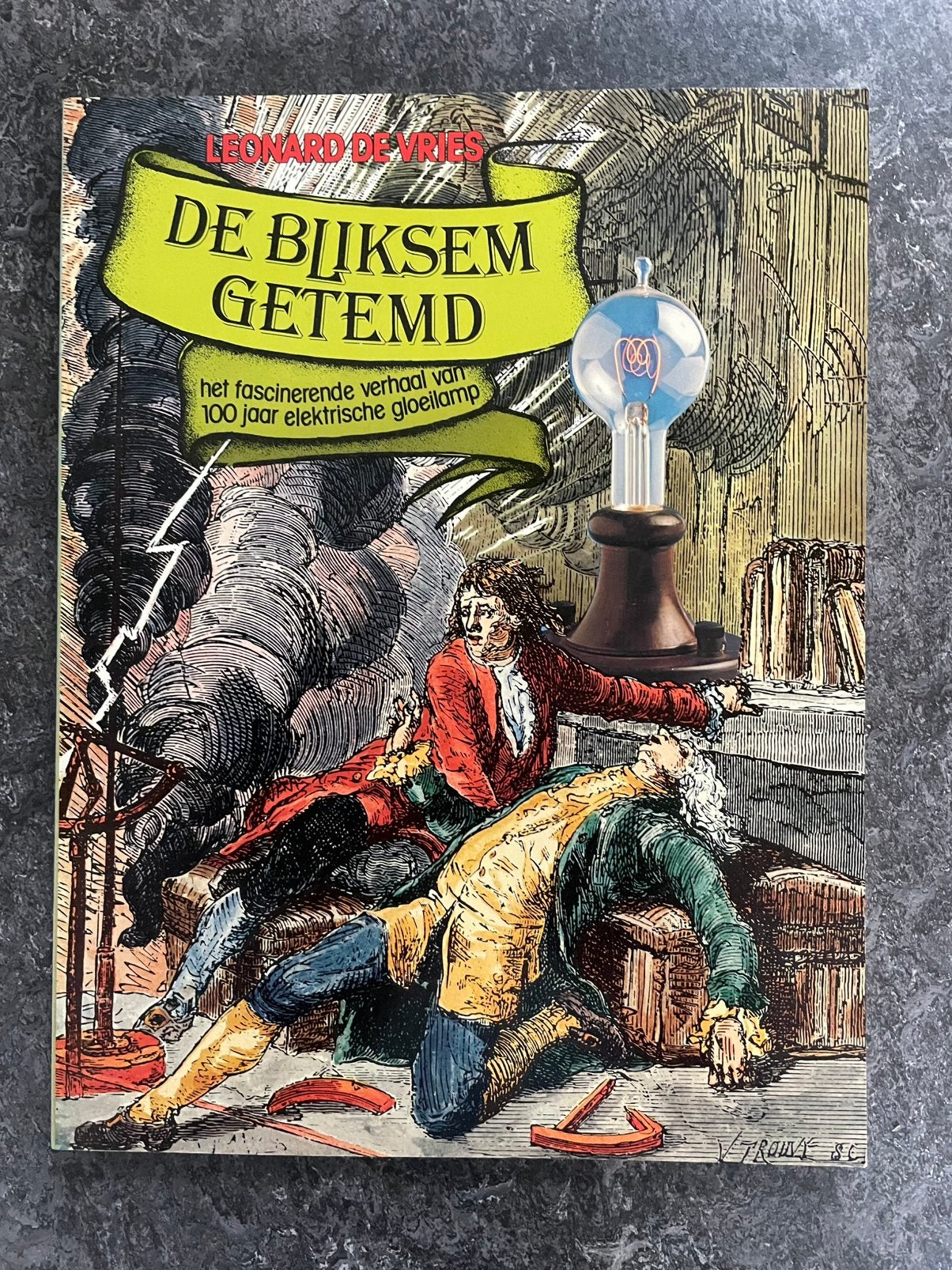 De bliksem getend., Ophalen of Verzenden, Zo goed als nieuw, Natuur algemeen