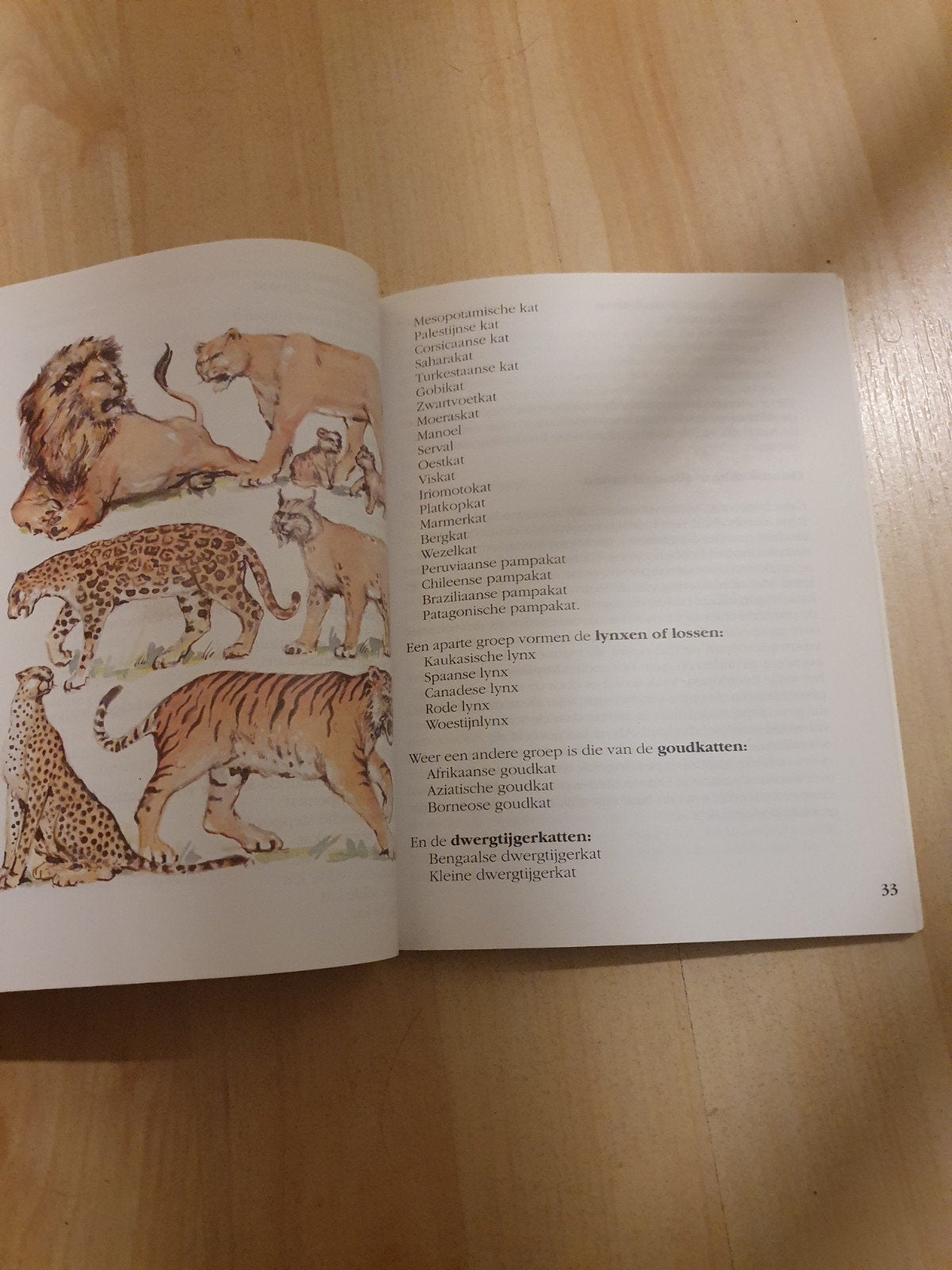 Boekje 'Tamme poezen en wilde katten'!, Ophalen of Verzenden, Gelezen, Katten