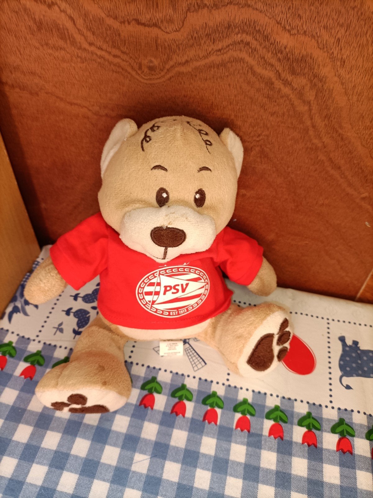PSV Beer knuffel 24 cm groot, Kinderen en Baby's, Speelgoed | Knuffels en Pluche, Zo goed als nieuw, Beer, Ophalen of Verzenden