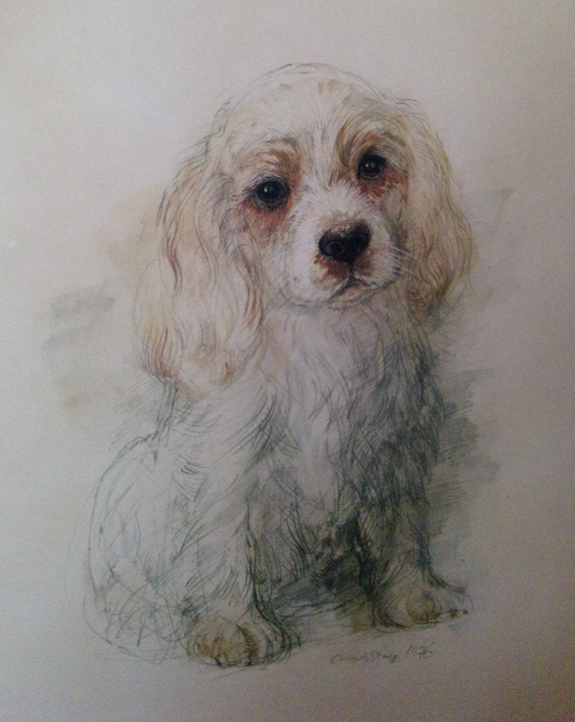 Prent Cocker Spaniel Puppy ( met lijst ), 1960 tot 1980, Nieuw, Ophalen of Verzenden, Dier