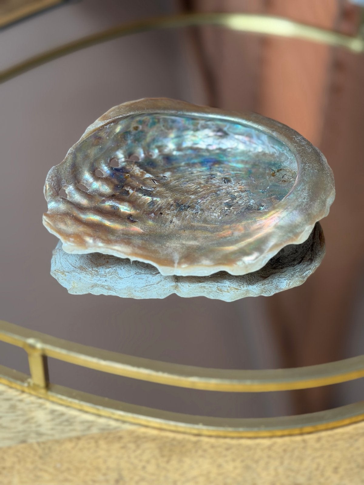 Prachtige Abalone Schelp - Decoratief en Uniek, Ophalen of Verzenden