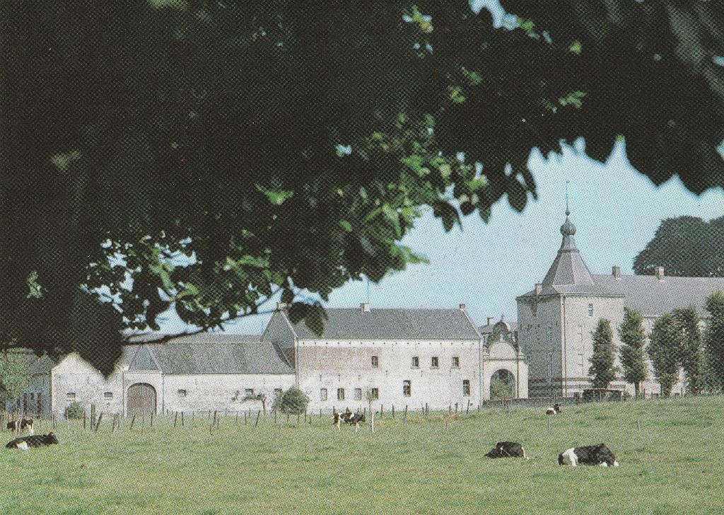 Kasteel Gen Hoes Valkenburg, Ophalen of Verzenden, 1980 tot heden, Ongelopen, Limburg