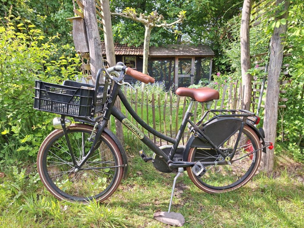 Meisjesfiets - Zwart, Fietsen en Brommers, Ophalen, Gebruikt, Terugtraprem, Overige merken