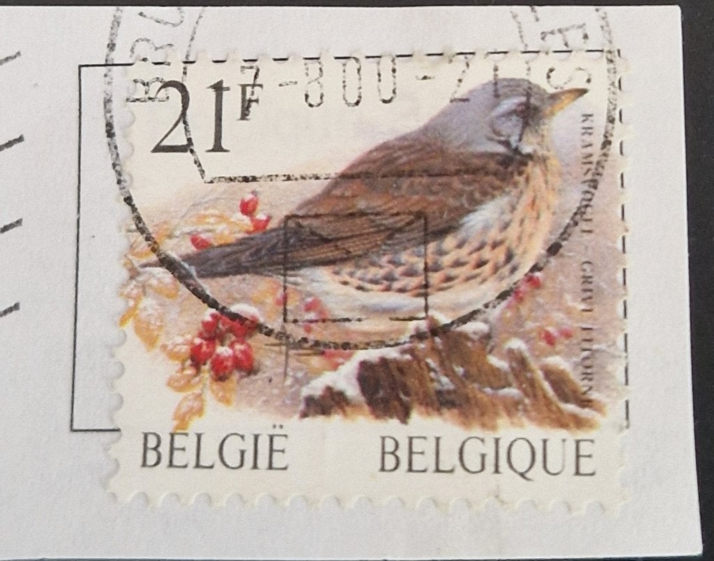 Belgie 1998 - OBP R88  - Kramsvogel   - Bll, Frankeerzegel, Ophalen of Verzenden, Gestempeld, Gestempeld