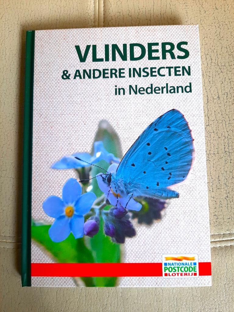 Vlinders & andere insecten in Nederland, Ophalen of Verzenden, Nieuw, Overige diersoorten