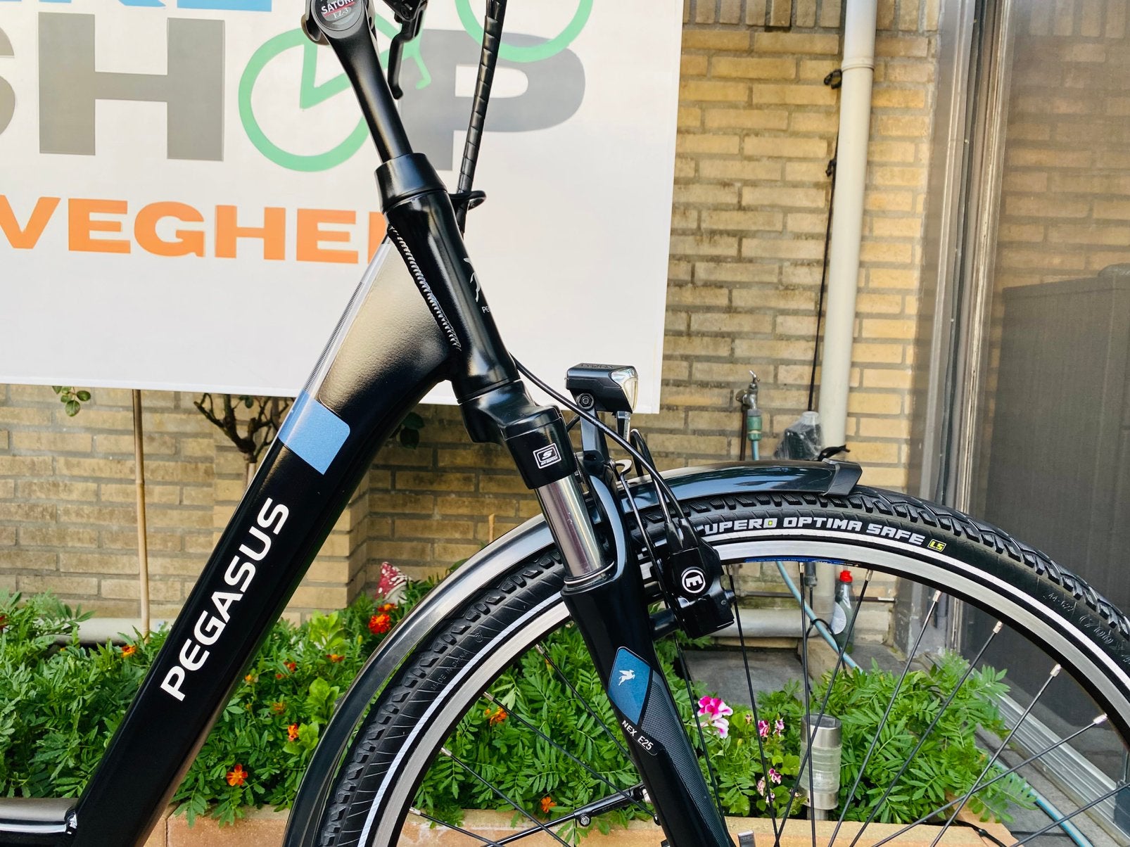 Elektrische Pegasus Bosch Middenmoto Active LinePlus.D50, Fietsen en Brommers, Fietsen | Dames | Damesfietsen, Ophalen of Verzenden