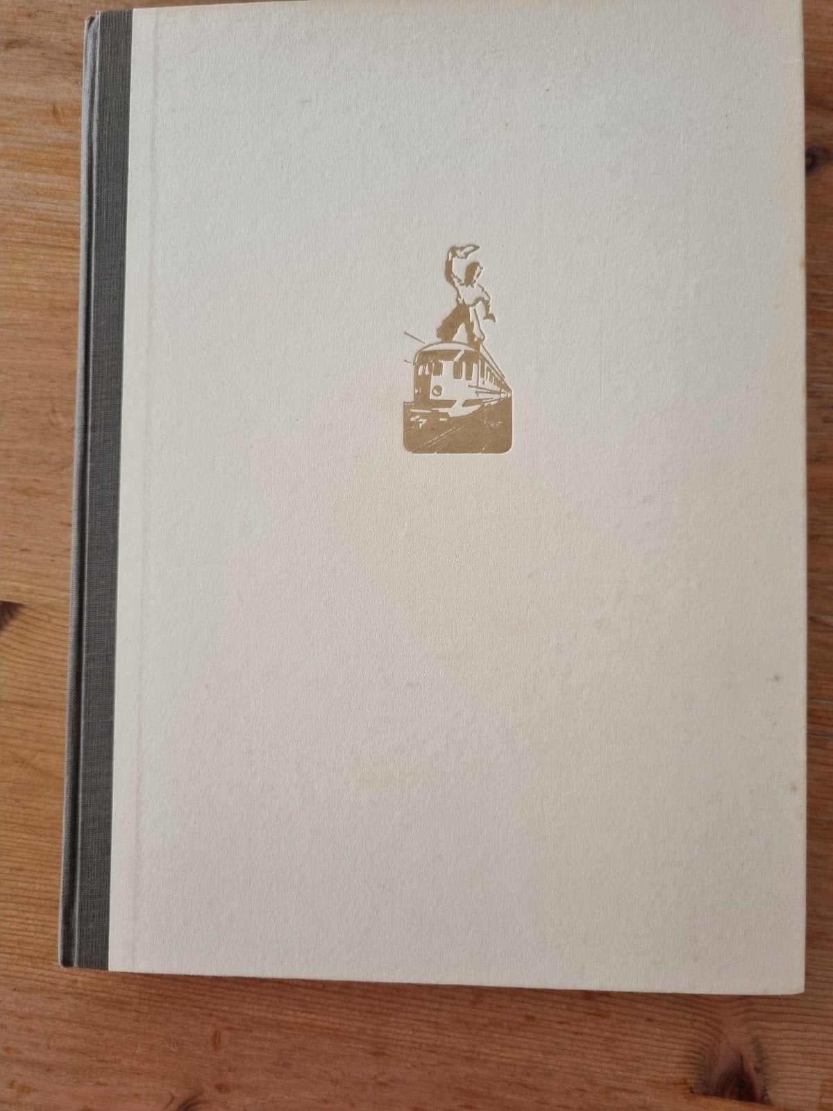 Boek: De Kilometer-Kampioen - Spoorwegen in Nederland, Ophalen of Verzenden, Zo goed als nieuw, A.D. Hildebrand, Trein