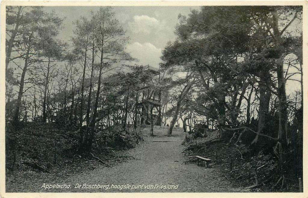 381-495-043 Appelscha De Boschberg, Verzenden, Voor 1920, Friesland