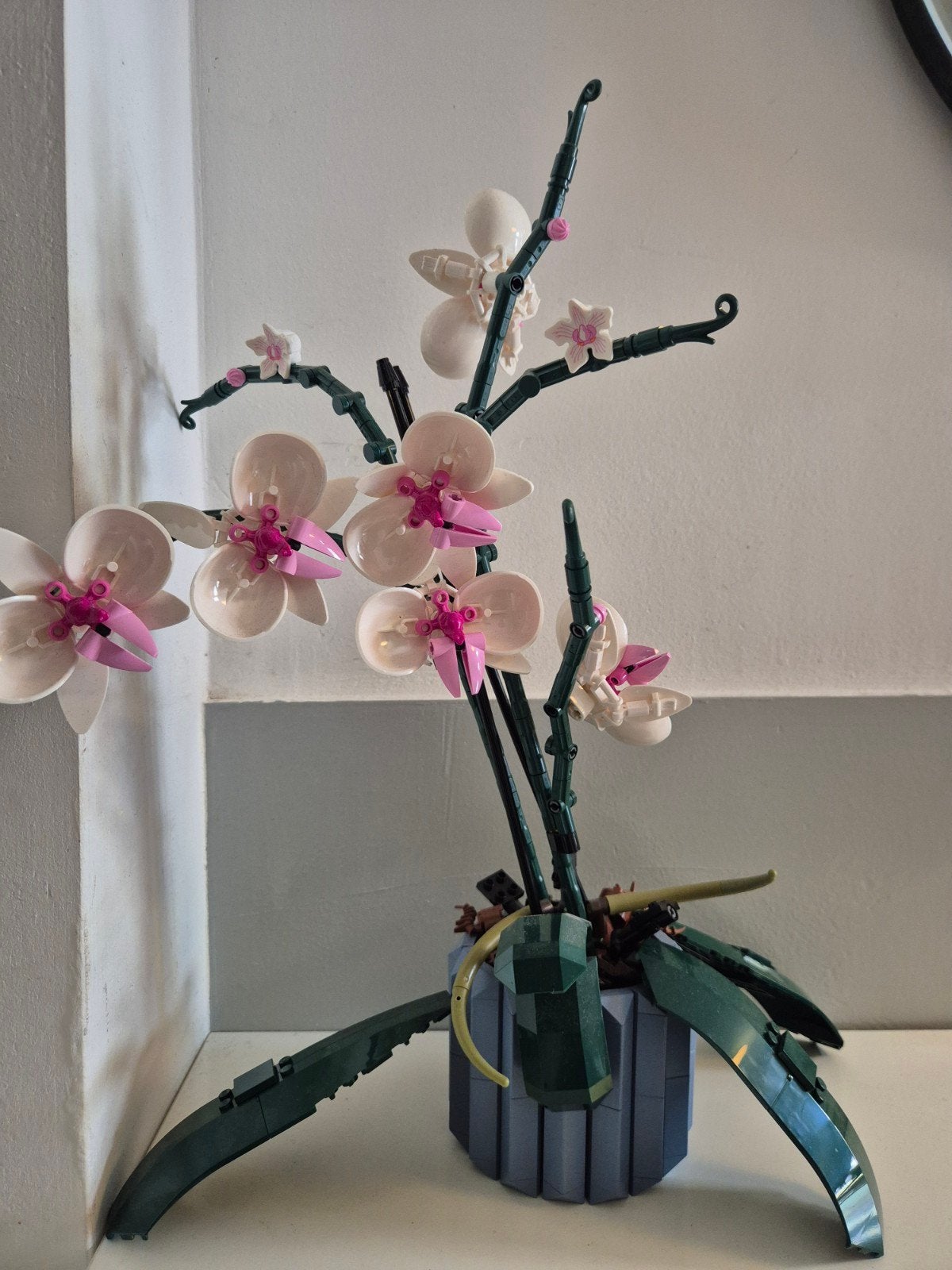 Lego Orchidee Botanische Collectie, Ophalen of Verzenden, Gebruikt