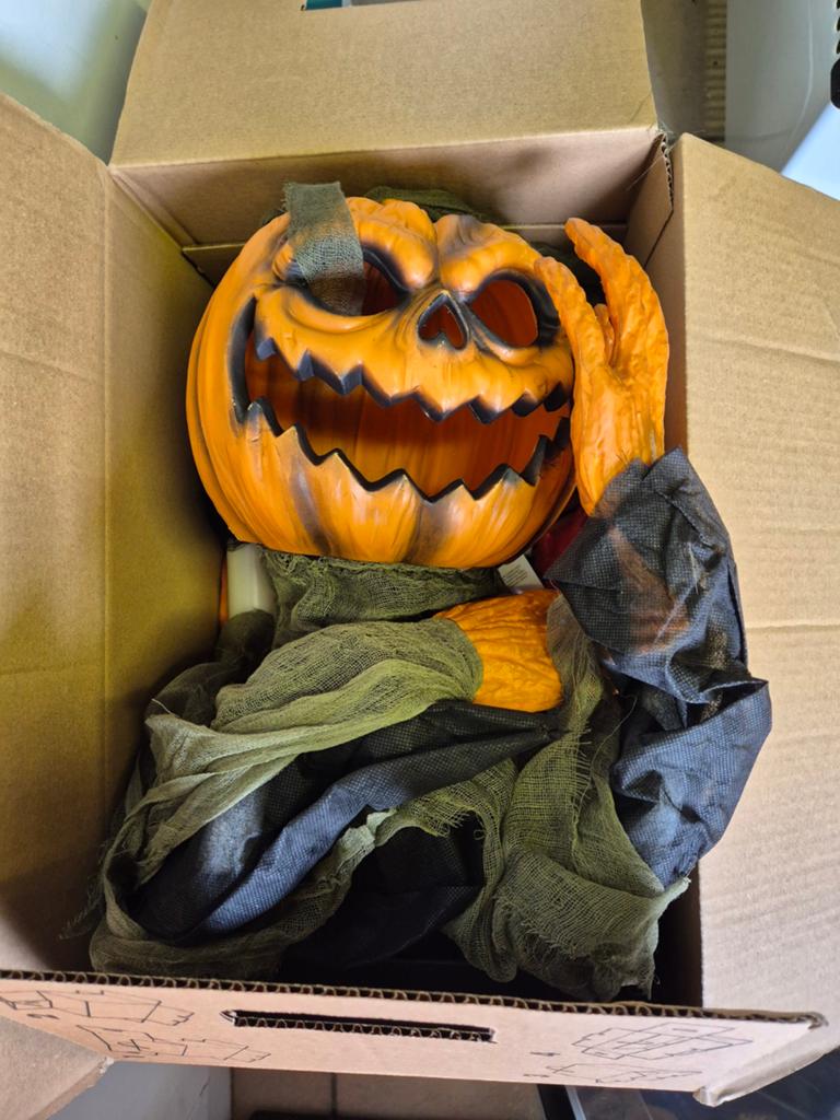 Diverse Halloween Decoratie, Ophalen of Verzenden, Gebruikt, Versiering, Halloween of Griezel