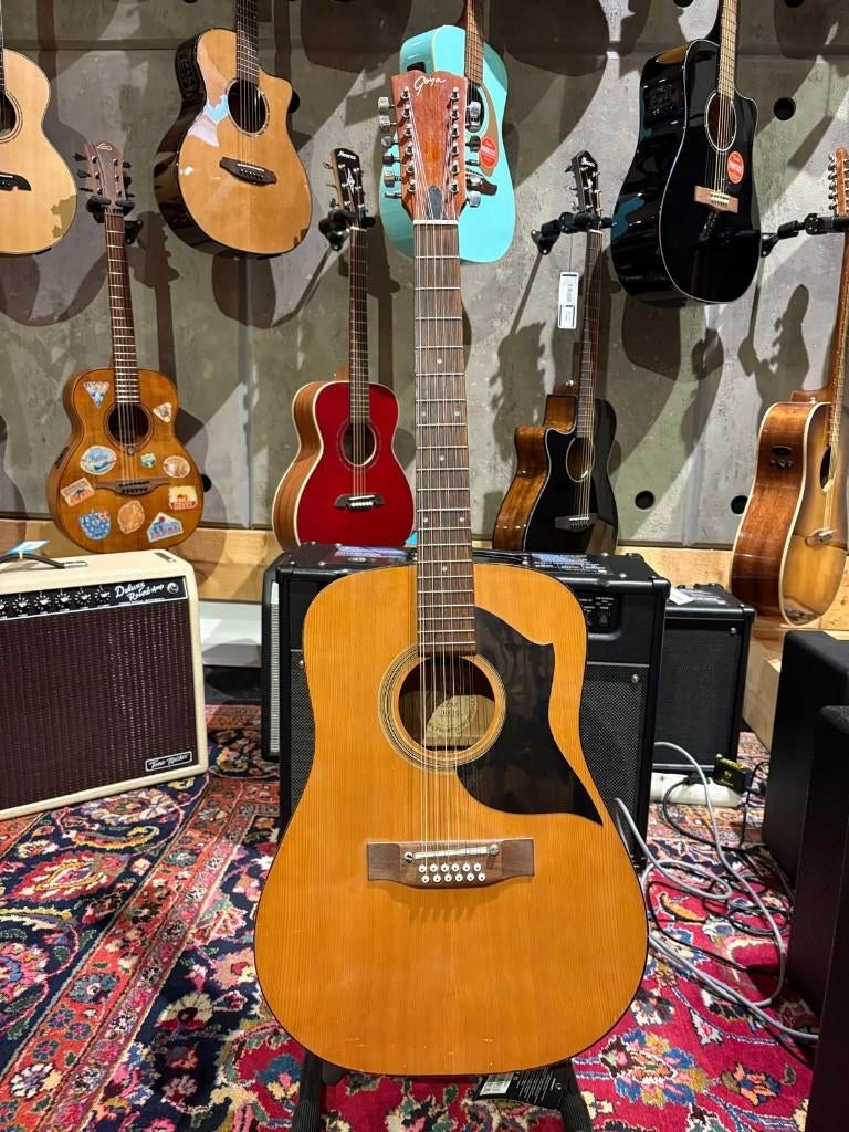 Goya G410 12-snarige westerngitaar, Muziek en Instrumenten, Ophalen of Verzenden, Zo goed als nieuw, Western- of Steelstringgitaar