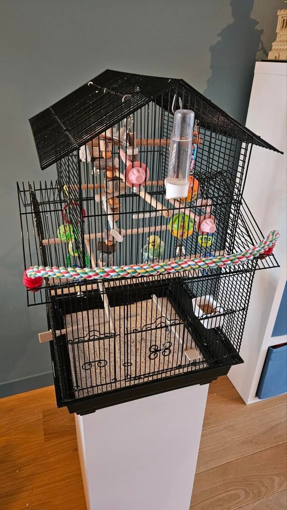 Mooie en ruime vogelkooi, Dieren en Toebehoren, Ophalen, Gebruikt, Metaal, Vogelkooi