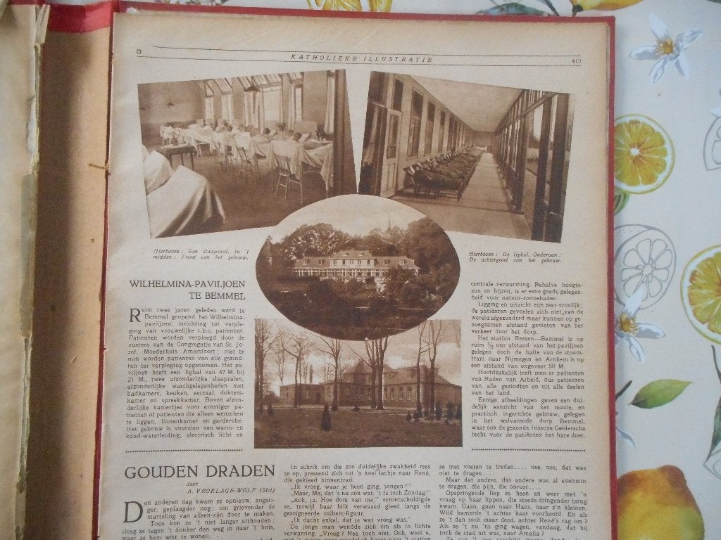 Bemmel. Wilhelmina-Paviljoen. 1925., Verzamelen, Ophalen of Verzenden, 1920 tot 1940, Nederland, Knipsel(s)