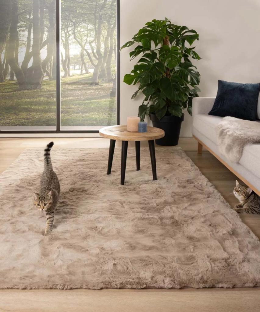 Zacht hoogpolig vloerkleed - Comfy plus - taupe, Ophalen, Gebruikt, 200 cm of meer, 50 tot 100 cm