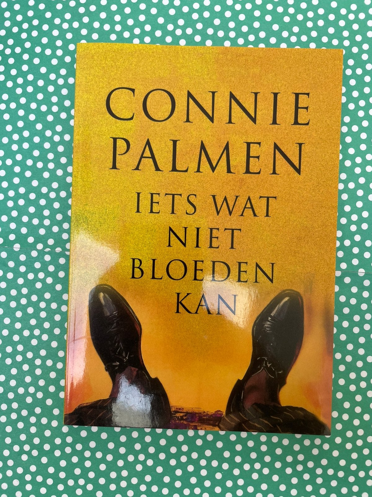 Iets wat niet bloeden kan, door Connie Palmen, Ophalen of Verzenden, Zo goed als nieuw