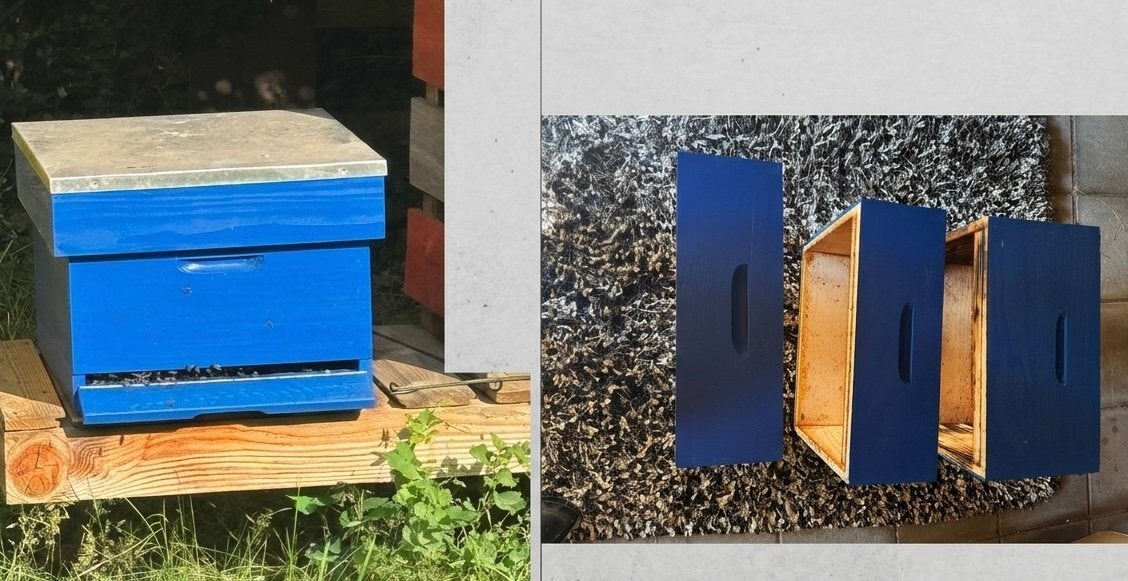 Complete bijenkast bijenvolk 1 broedkamer bezet (2bk en 2hk), Bijen