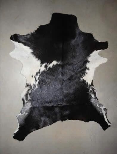 Mooie geitenhuiden vachten landelijk naturalia taxidermie, Ophalen of Verzenden, Nieuw, Wild dier, Opgezet dier