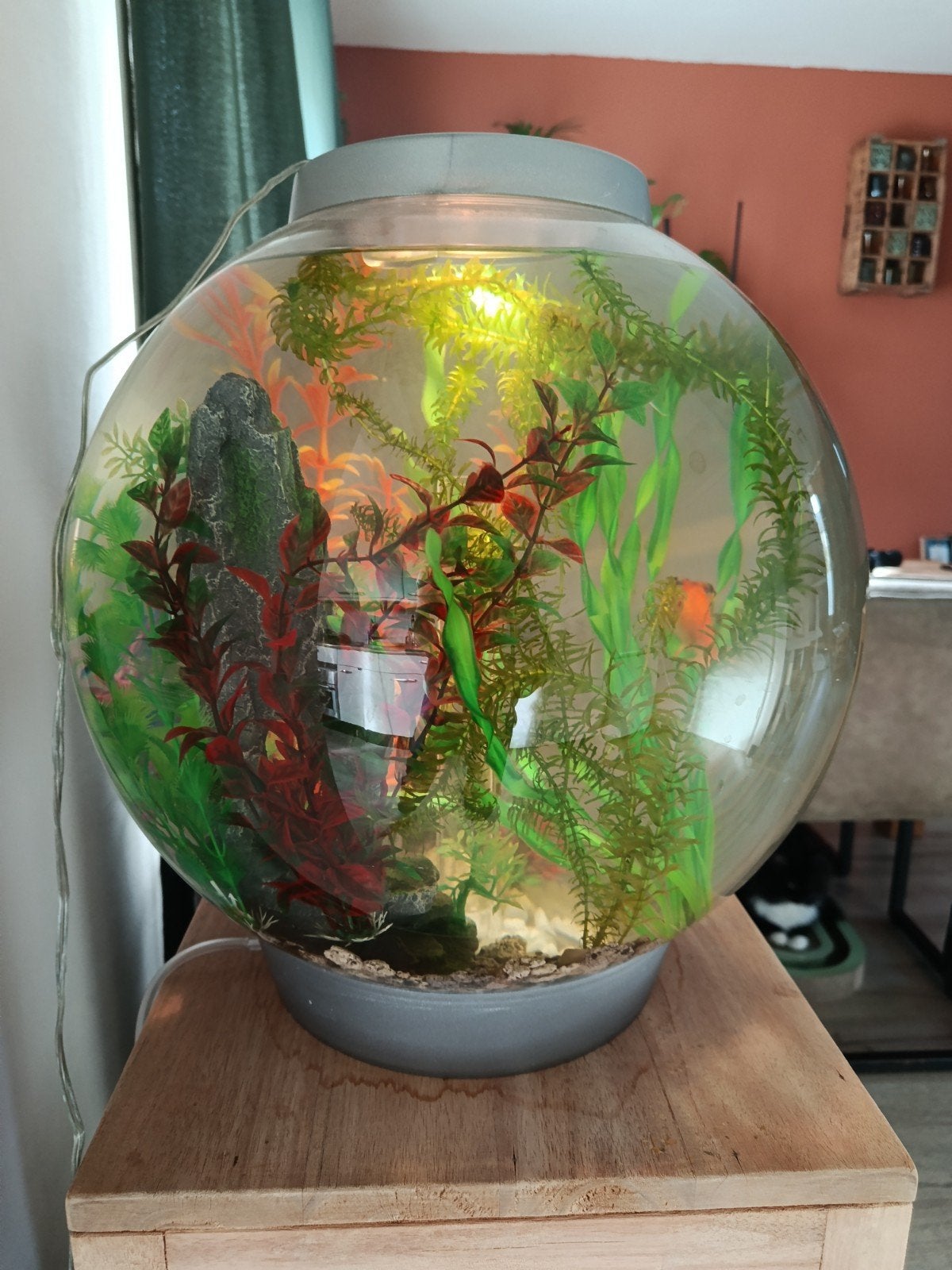 BiOrb Classic, Dieren en Toebehoren, Ophalen of Verzenden, Inclusief toebehoren, Gevuld zoetwateraquarium, Overige merken