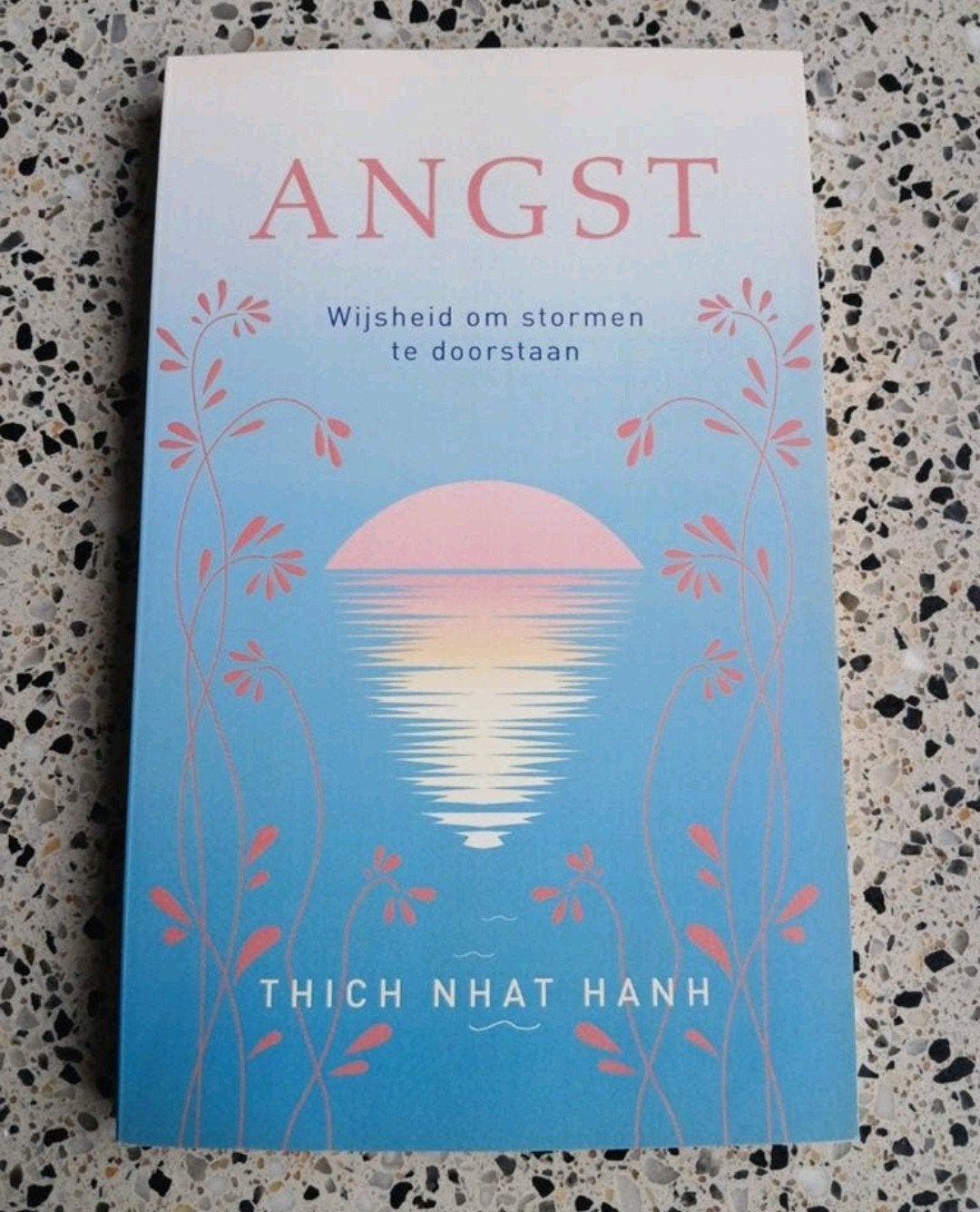 Angst: Thich Nhat Hanh Spiksplinternieuw VASTE PRIJS, Boeken, Ophalen of Verzenden, Nieuw