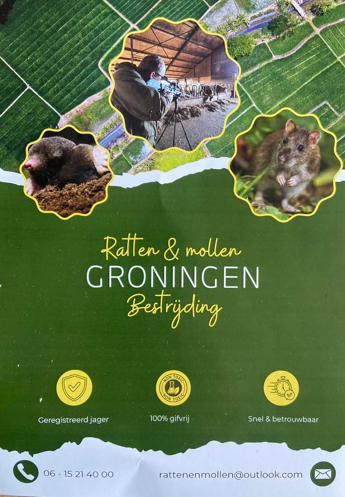Ratten bestrijding, Muizen of Ratten